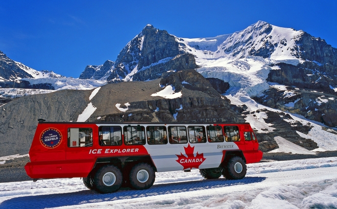 Kanadischer Bus, Columbia Eisfeld
